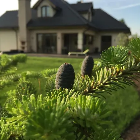 Rezydencja Basniowa Villa