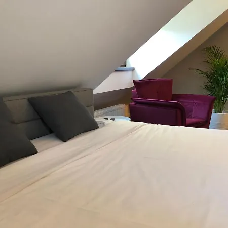 Rezydencja Basniowa Villa *